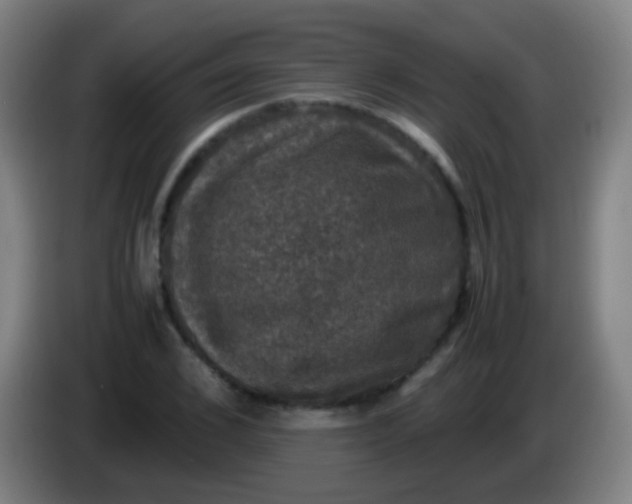 X0000085310976200703302019