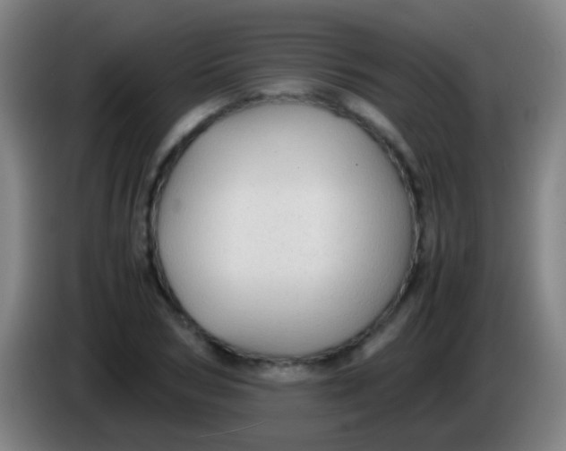 X0000085310978200703302019