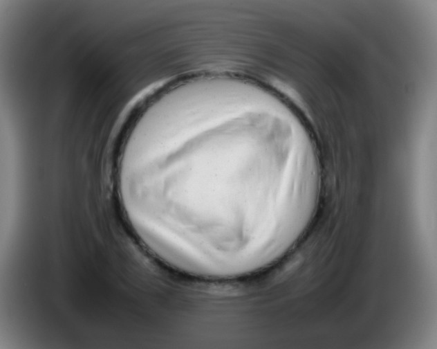 X0000085310979200703302019