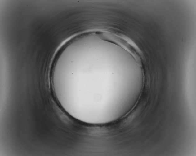 X0000085310980200703302019