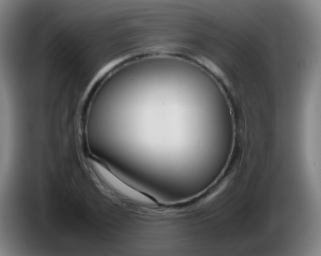 X0000085310981200703302019