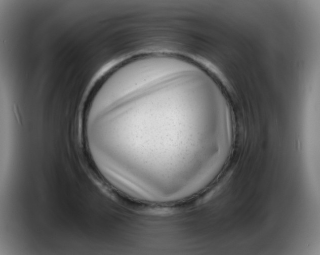 X0000085310982200703302019