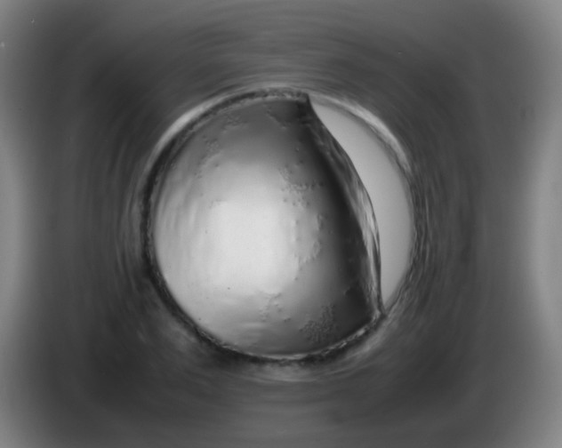 X0000085310983200703302019