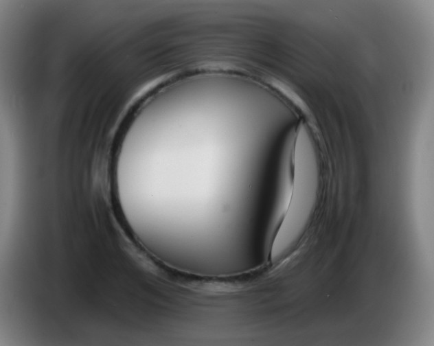 X0000085310984200703302019