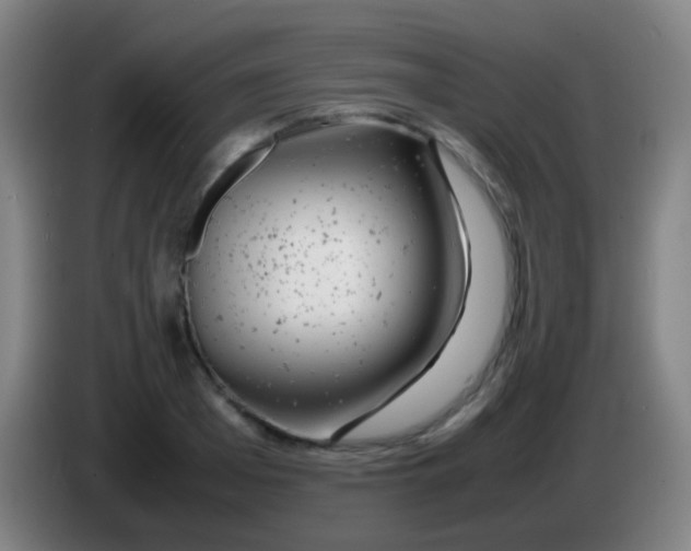 X0000085310985200703302019