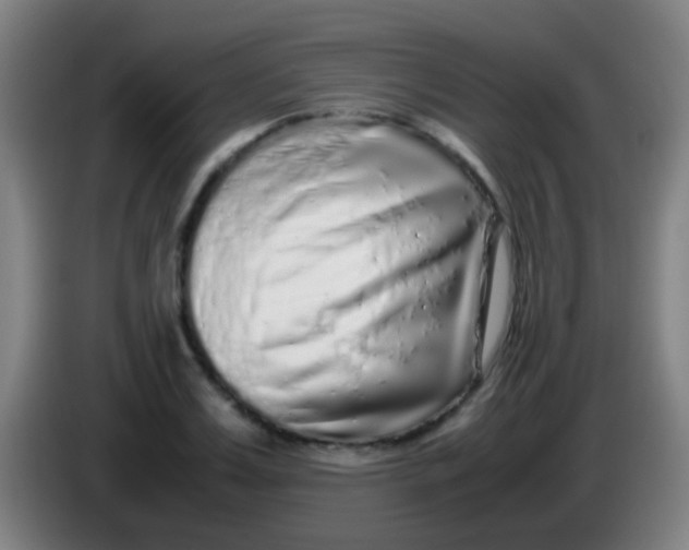 X0000085310987200703302019