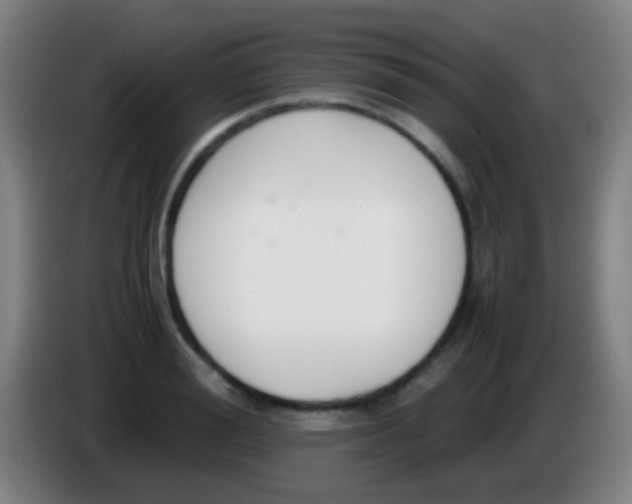 X0000085310988200703302019