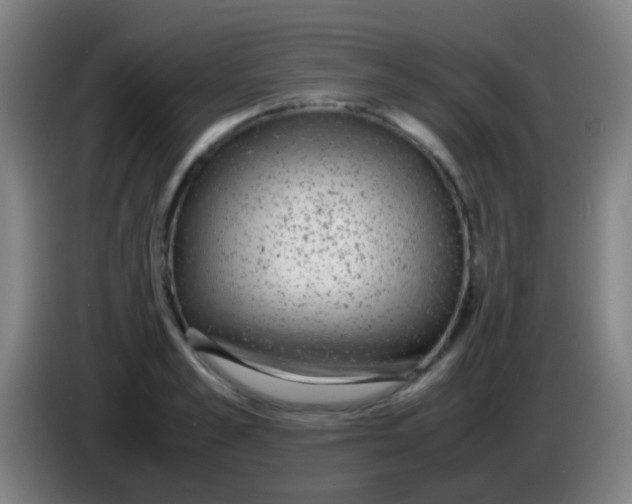 X0000085310989200703302019