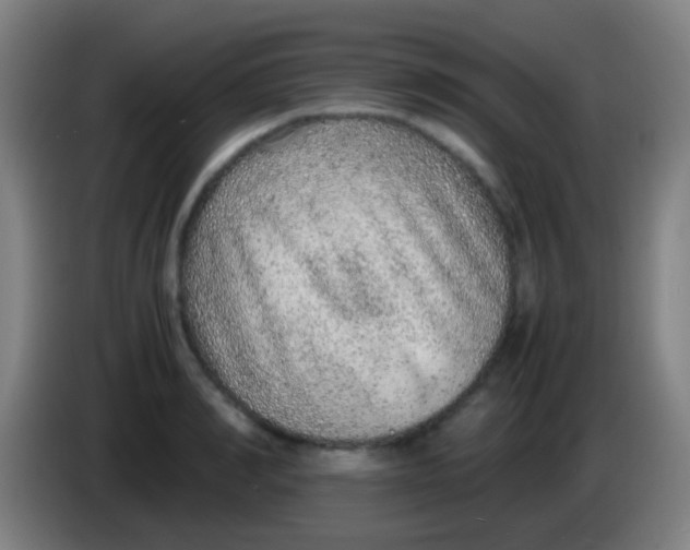 X0000085310990200703302019