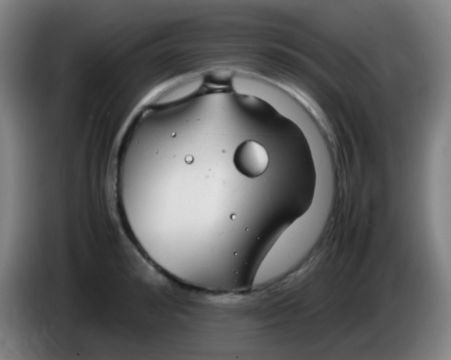 X0000085310992200703302019