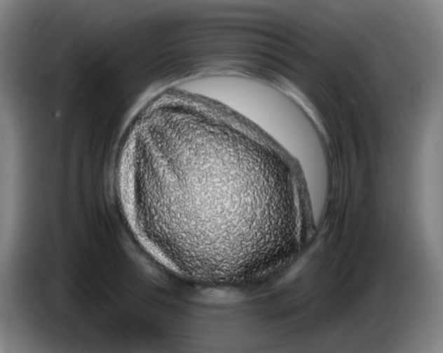 X0000085310994200703302018