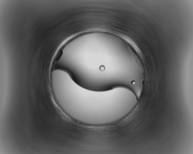 X0000085310996200703302018