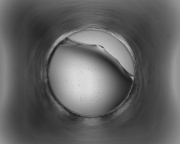 X0000085310997200703302018