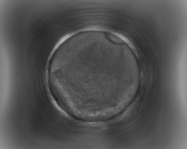 X0000085310998200703302018