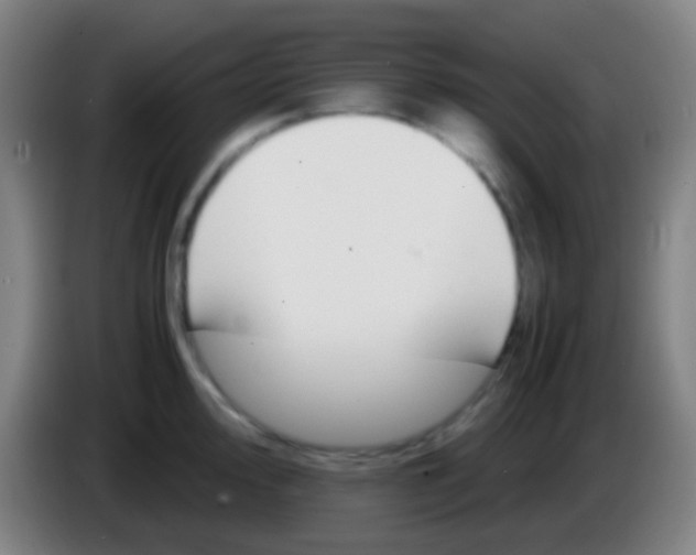 X0000085311000200703302018