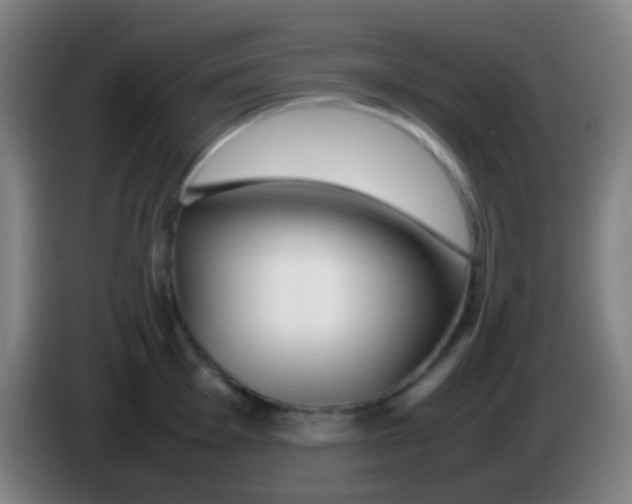 X0000085311001200703302018