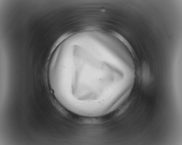 X0000085311002200703302018