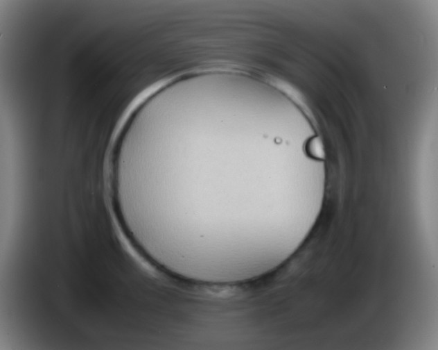 X0000085311003200703302018