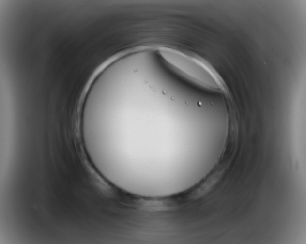 X0000085311004200703302018