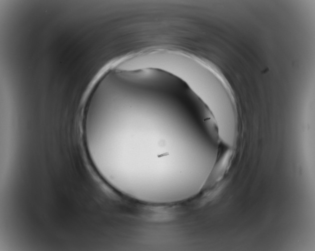 X0000085311005200703302018