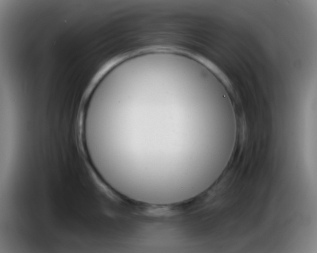 X0000085311006200703302018