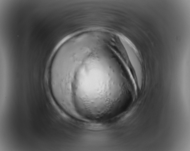 X0000085311007200703302018