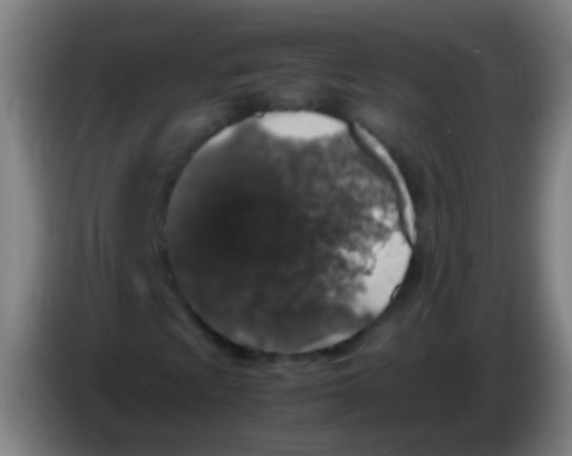 X0000085311009200703302018