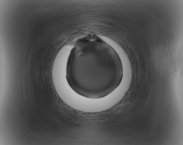 X0000085311010200703302018