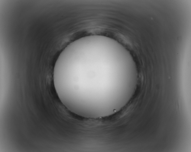 X0000085311012200703302018