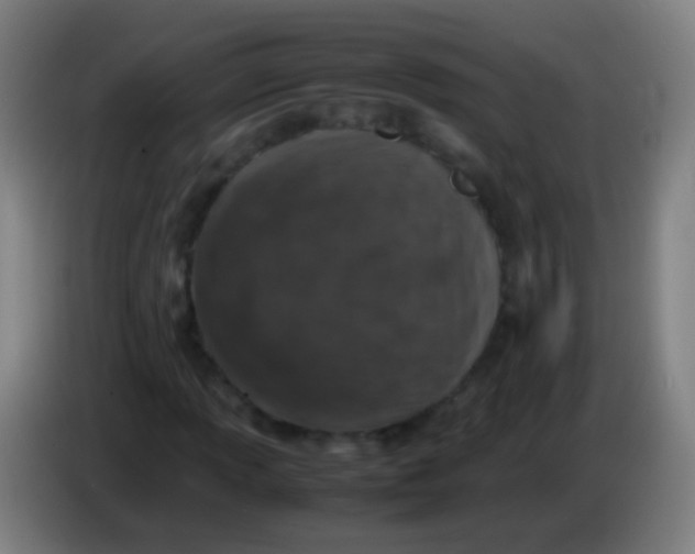 X0000085311013200703302018