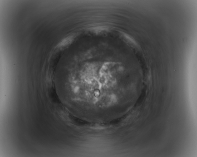 X0000085311014200703302018