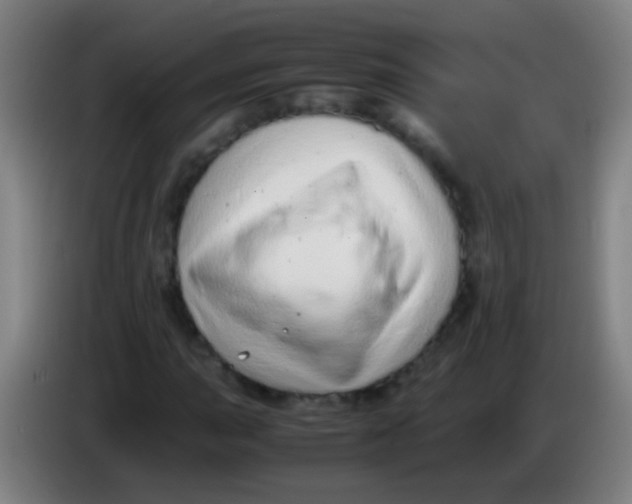 X0000085311015200703302018