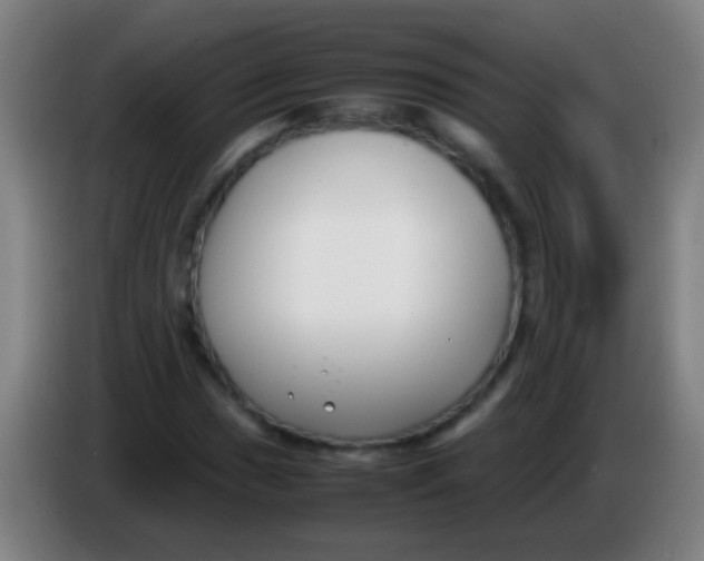 X0000085311017200703302018