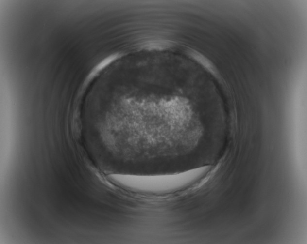 X0000085311018200703302018