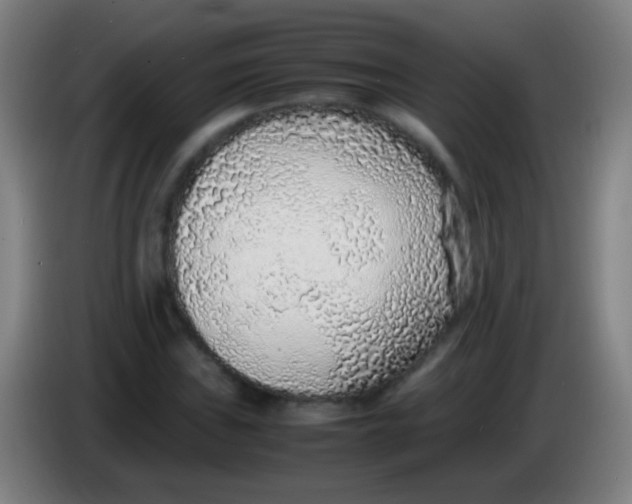 X0000085311019200703302018