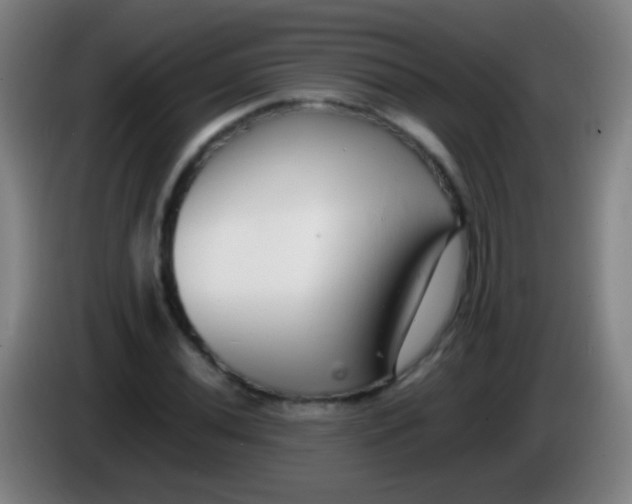 X0000085311020200703302018