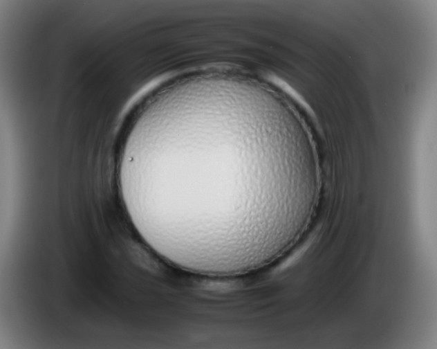 X0000085311021200703302018