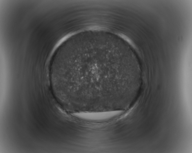 X0000085311022200703302018