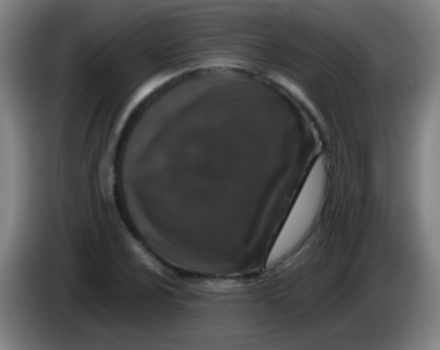 X0000085311024200703302018