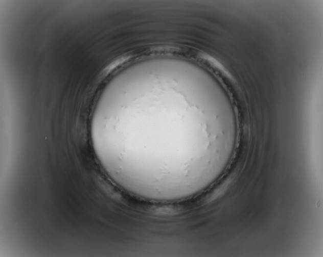 X0000085311025200703302018