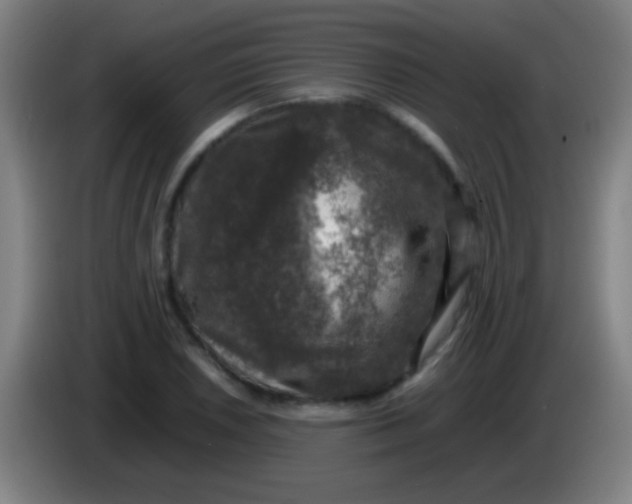 X0000085311026200703302018