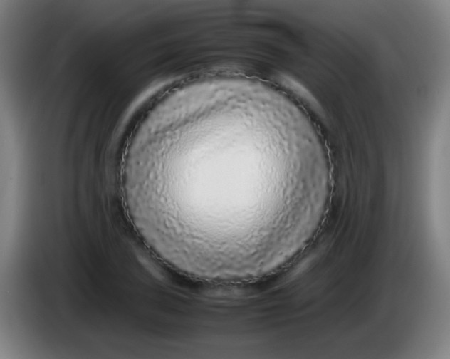 X0000085311027200703302018