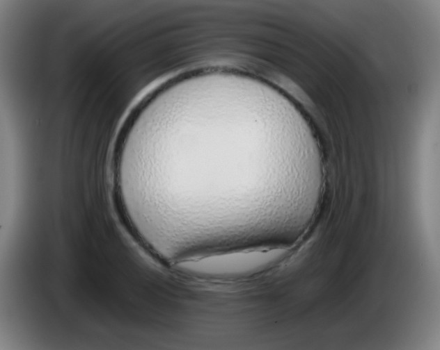 X0000085311028200703302018