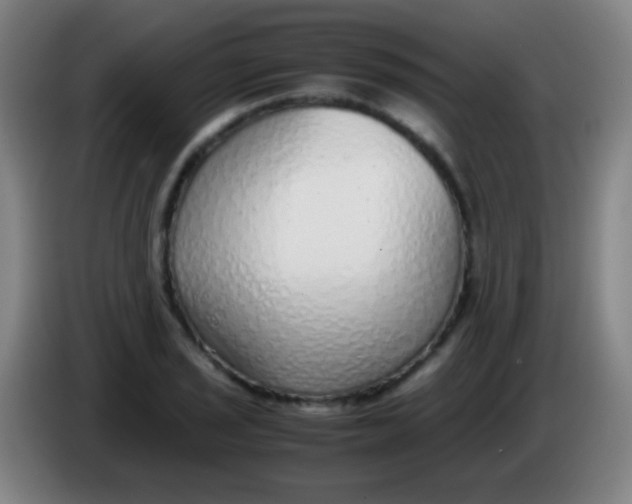 X0000085311029200703302018