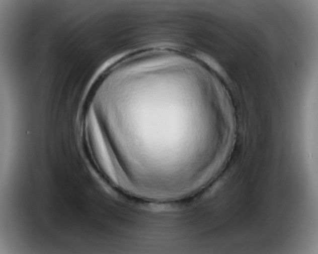 X0000085311032200703302018