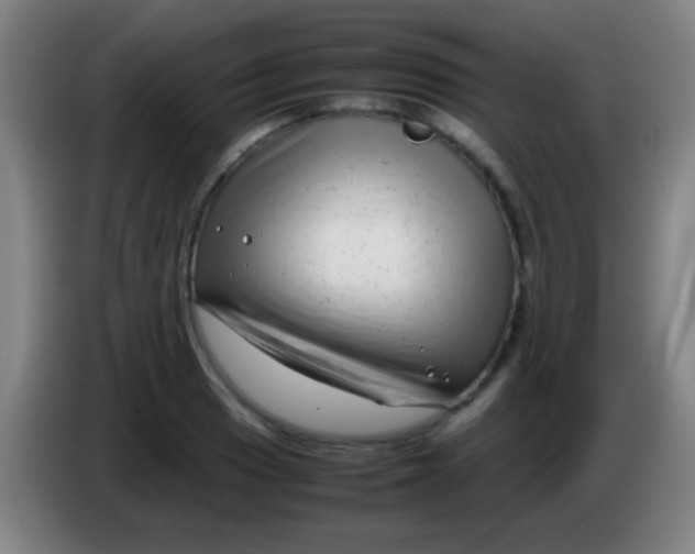 X0000085311033200703302018