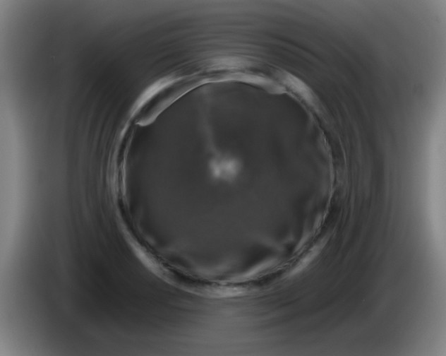 X0000085311034200703302018