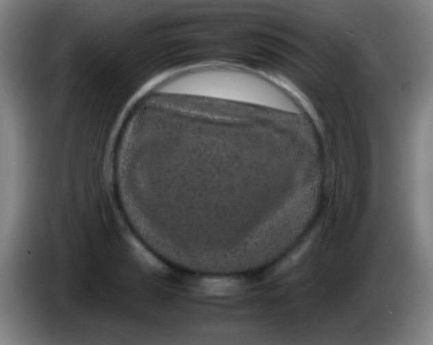 X0000085311037200703302018