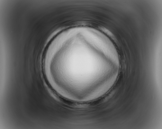 X0000085311039200703302018