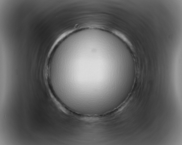 X0000085311040200703302018